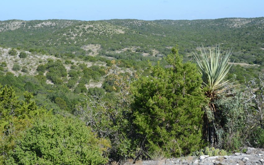Kickapoo Cavern State Park, Texas, USA